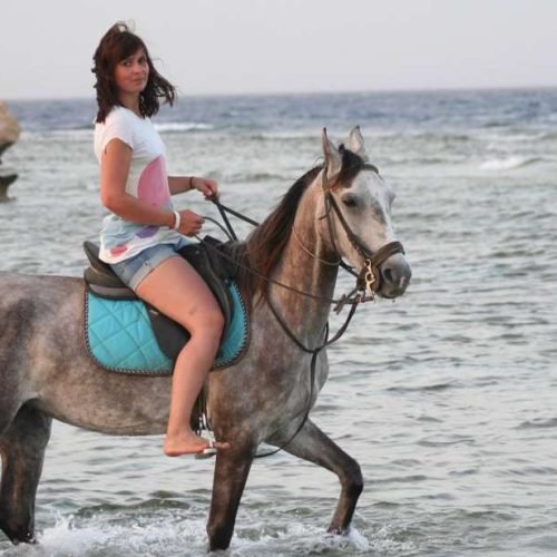 Équitation à Hurghada