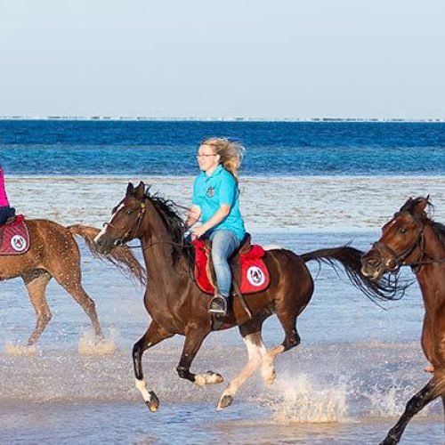 Équitation à Hurghada
