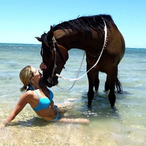 Équitation à Hurghada