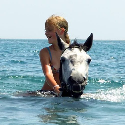 Équitation à Hurghada